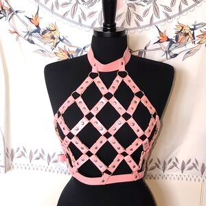 Soft Pink 🩷 Harness